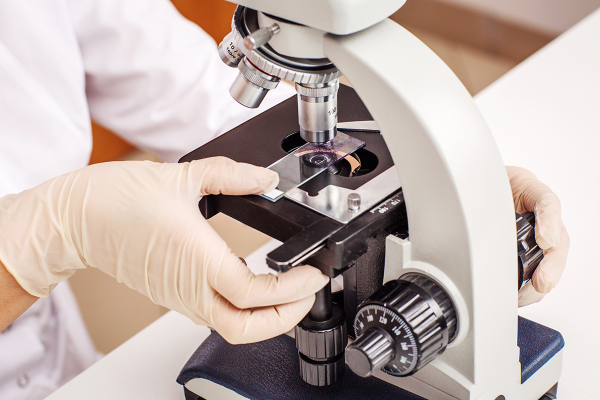 What is ex vivo research?