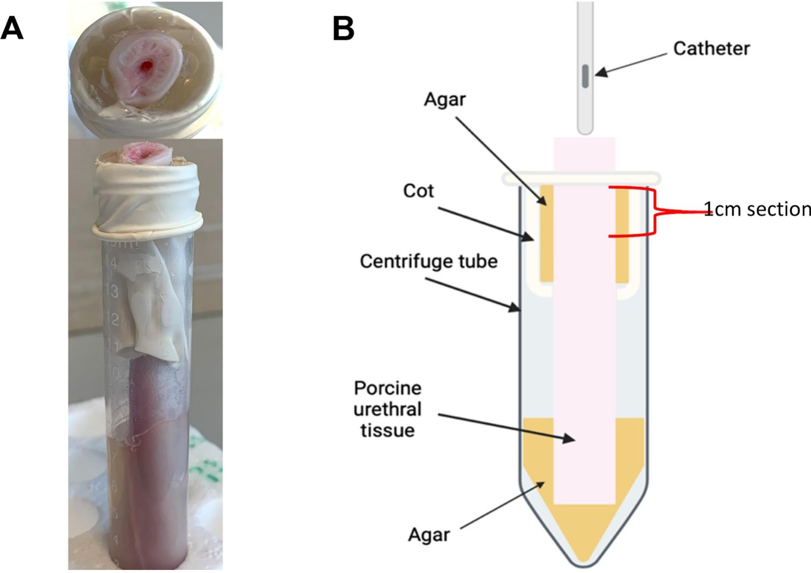 What can you learn from lab research findings and how might they relate to your clinical practice?