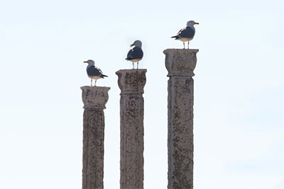 The three pillars of evidence: why they matter in clinical decision making