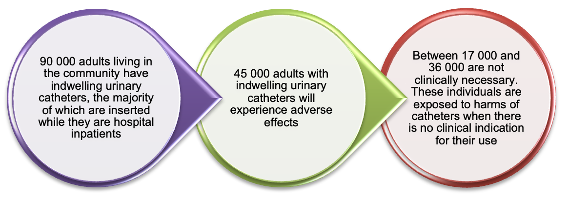 Figure 1. Use of indwelling urinary catheters in community settings. Based on Zhao et al (2022). 