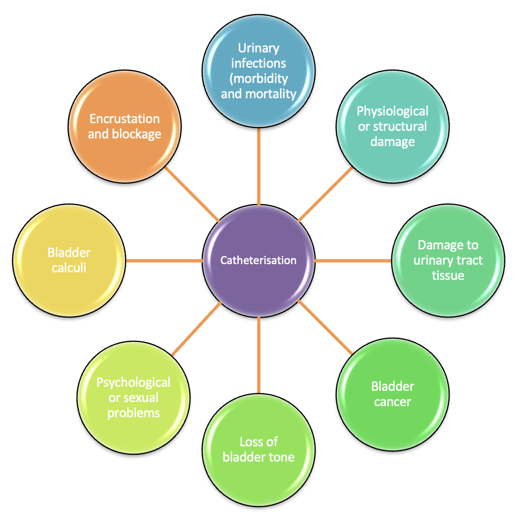 Figure 2. How a urinary catheter can harm health